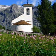 Bergkirche