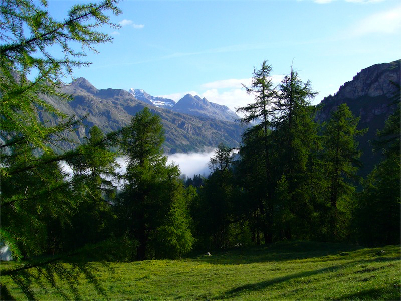 Nebenmeer im Engadin (nicht im Fex!)