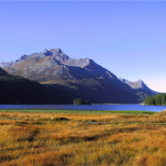 Silsersee mit Piz Margna